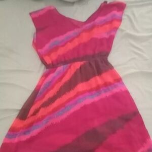 Express lined womens jumper dress